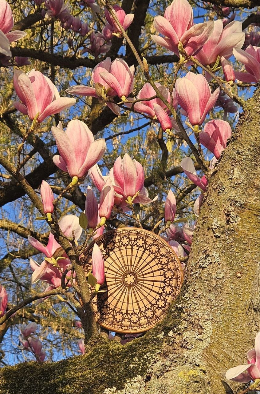 Fleurs de magnolia rose en pleine floraison sur un arbre au printemps avec un objet décoratif en bois sculpté aux motifs géométriques